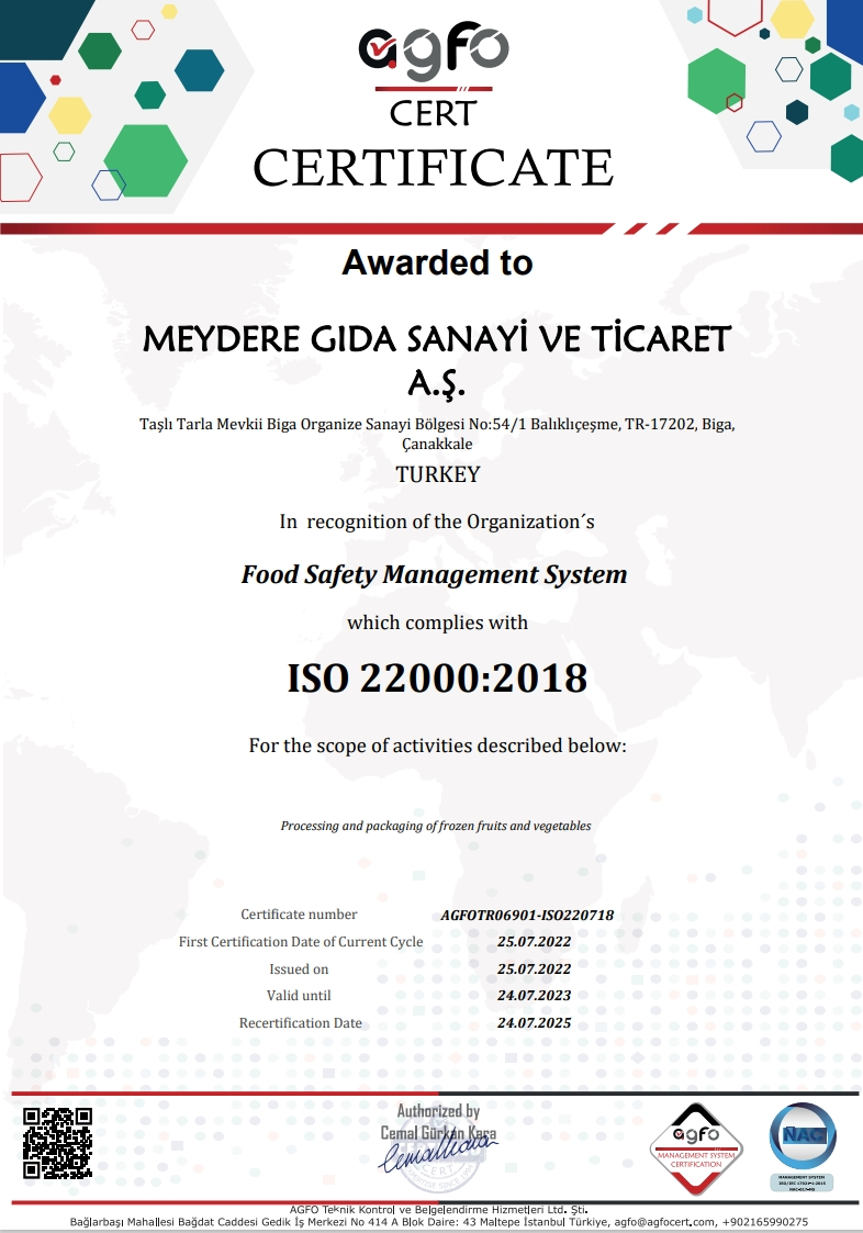 ISO 22000