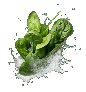 Sebzeler