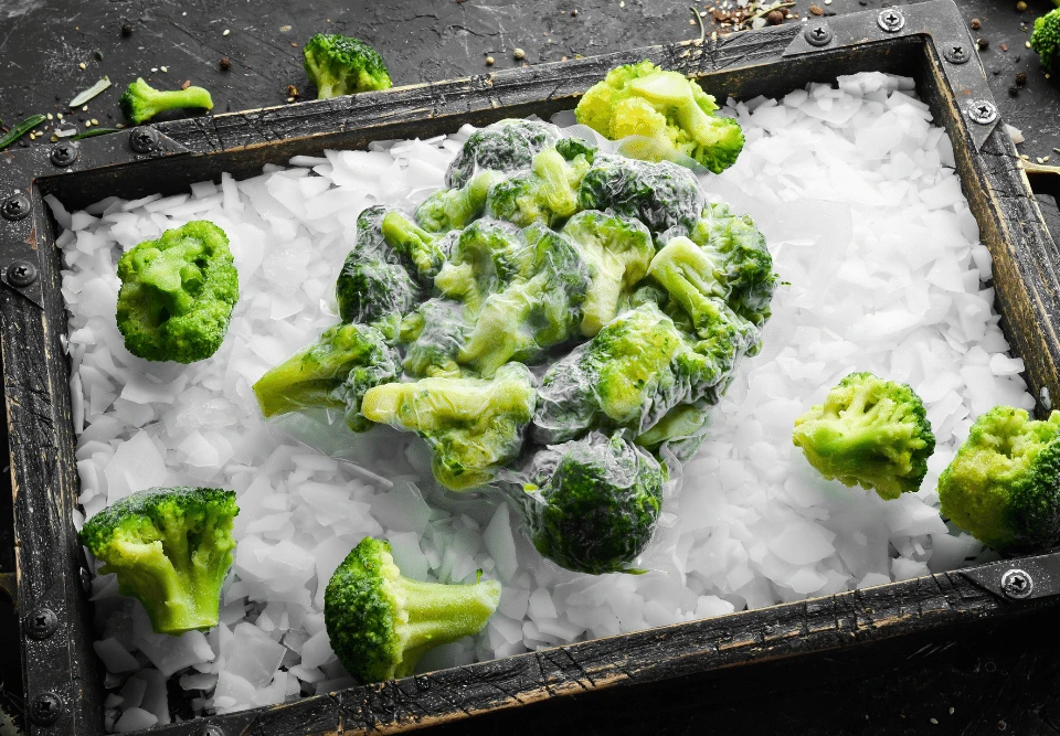 Her Zevke Uygun: Dondurulmuş Ürünlerde Esnek Ambalaj Çözümleri